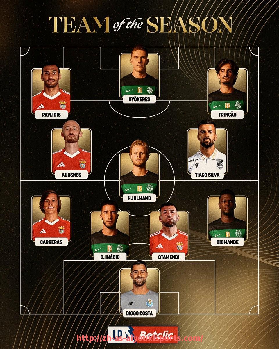 爱游戏体育官网-2024-2025赛季法甲球队球员动态变化及转会市场表现分析