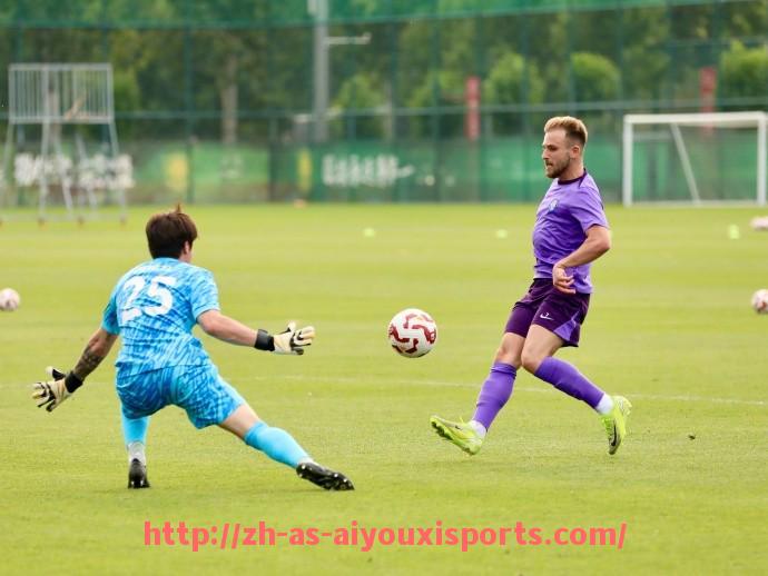 爱游戏体育官网-法甲历史上最激动人心的绝杀瞬间回顾