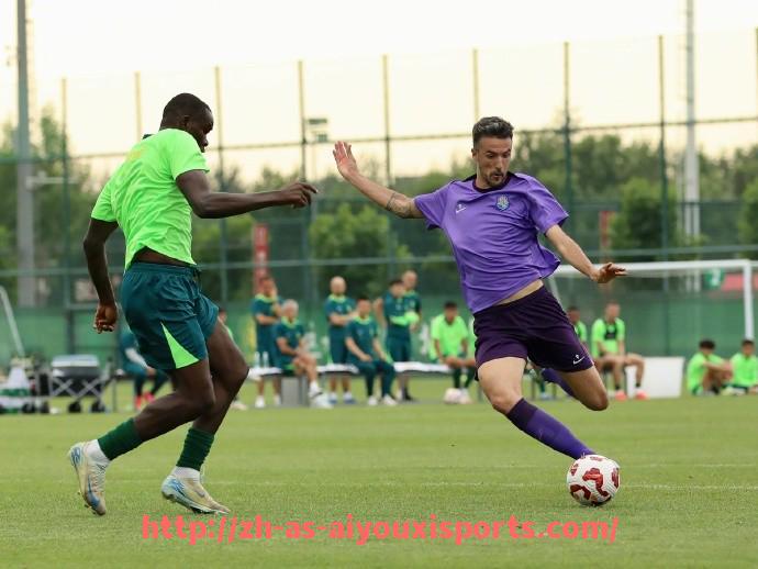 爱游戏体育官网-世俱杯信息共享推动主办城市跨部门数据联通平台建设思路