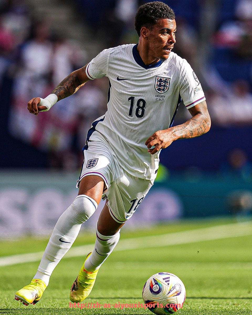 爱游戏体育官网-法甲青训体系的建设路径与未来发展目标分析