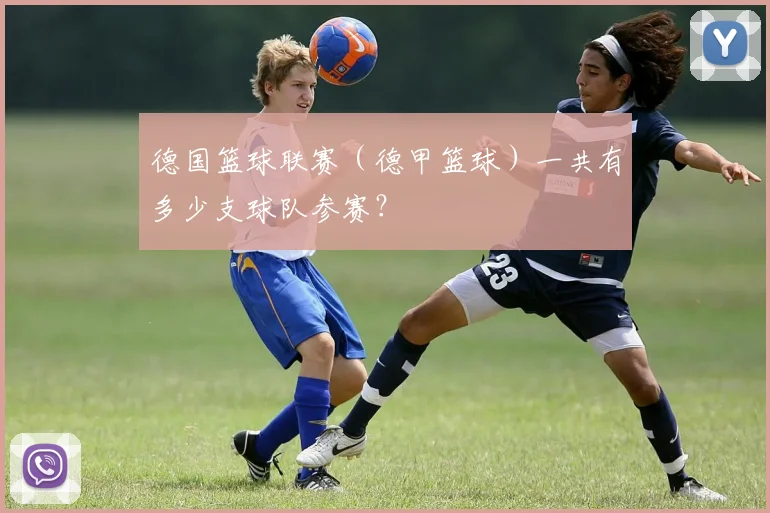 德国篮球联赛（德甲篮球）一共有多少支球队参赛？