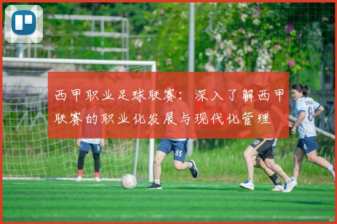西甲职业足球联赛：深入了解西甲联赛的职业化发展与现代化管理
