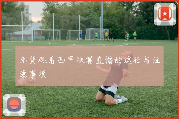 免费观看西甲联赛直播的途径与注意事项