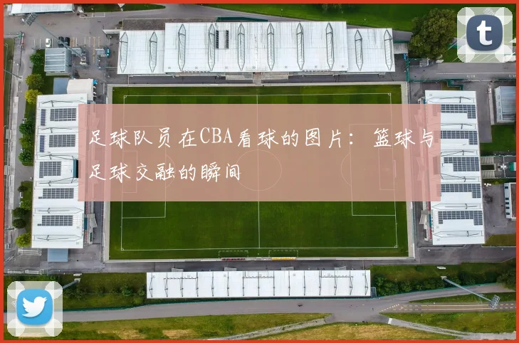 足球队员在CBA看球的图片：篮球与足球交融的瞬间