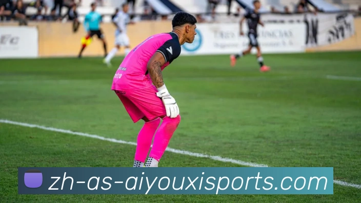 爱游戏体育服务体系